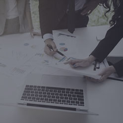 香草產(chǎn)業(yè)項(xiàng)目擴(kuò)展