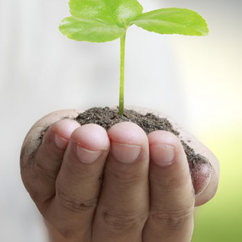 發(fā)展規(guī)劃