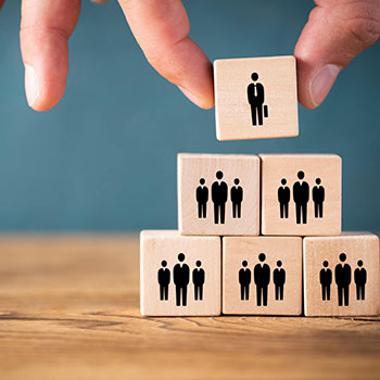 集團(tuán)架構(gòu)