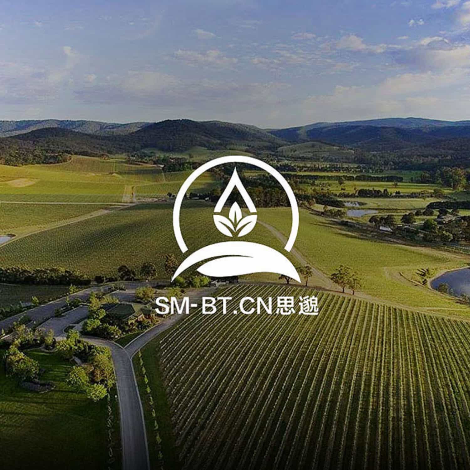 集團(tuán)簡(jiǎn)介