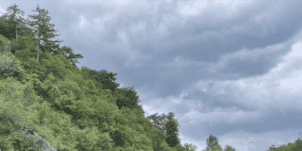 思邈集團(tuán)正式入駐國(guó)內(nèi)市場(chǎng)