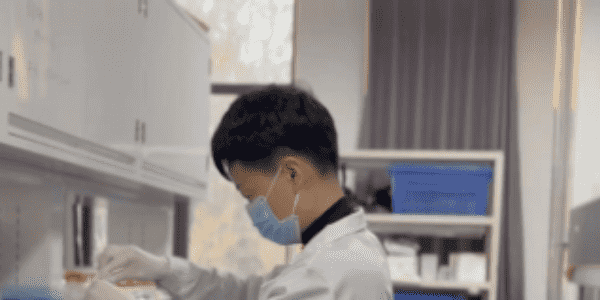 北京地區(qū)香草種植現(xiàn)狀及開發(fā)利用探討