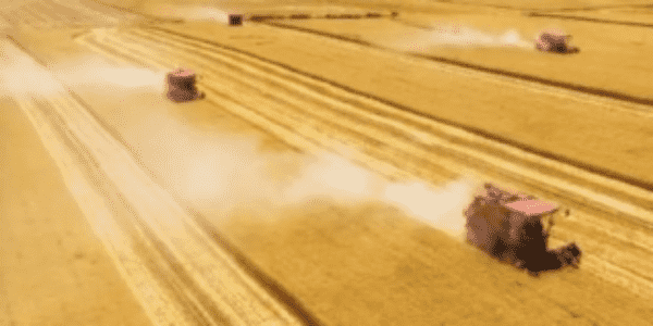 中央廣播電視總臺(tái)發(fā)布2022年度鄉(xiāng)村振興十大新聞