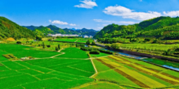 國(guó)家發(fā)改委：2022年中央財(cái)政銜接推進(jìn)鄉(xiāng)村振興補(bǔ)助資金增至1650億元